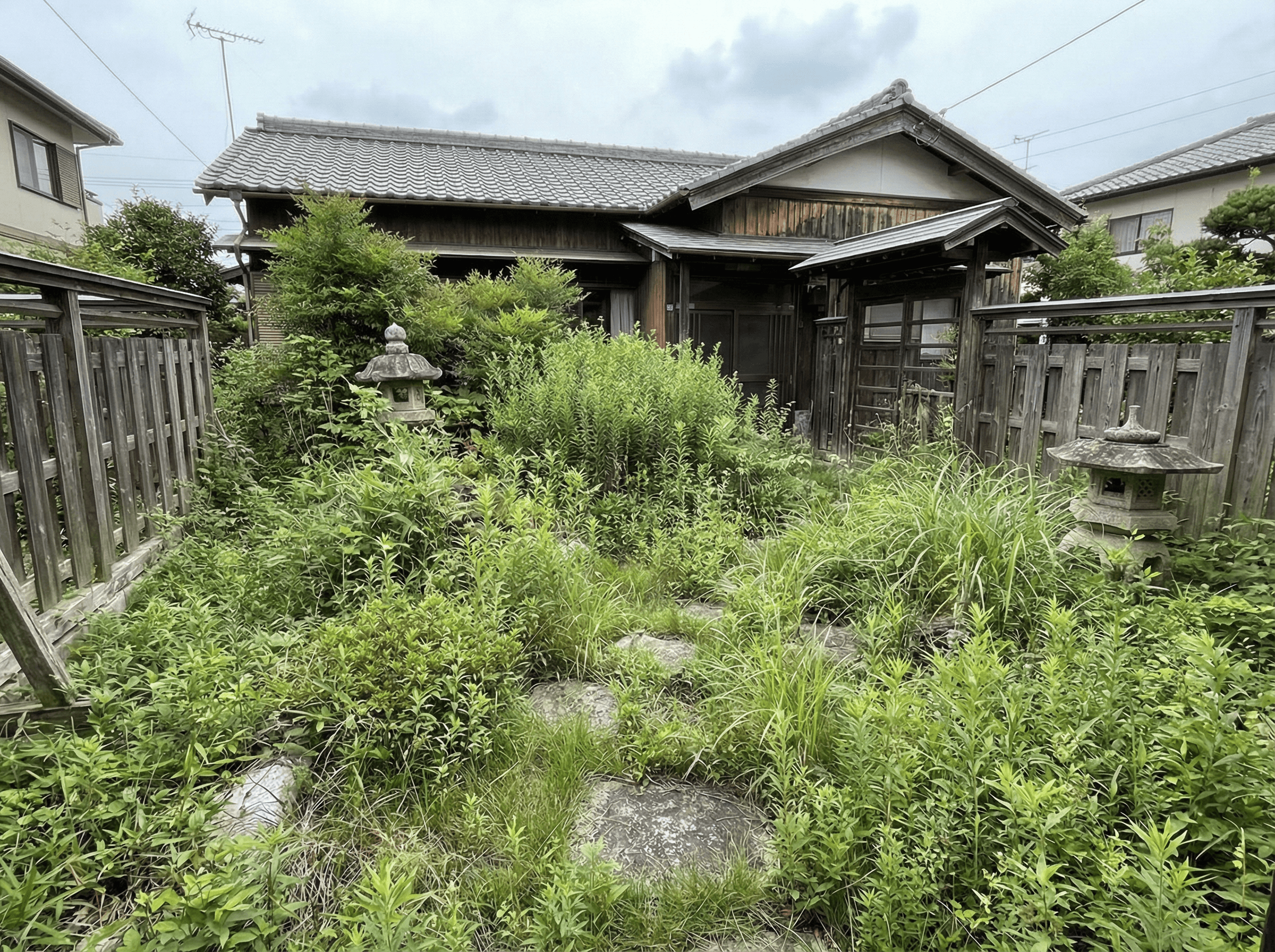 Before：雑草が腰の高さまで生い茂っている庭